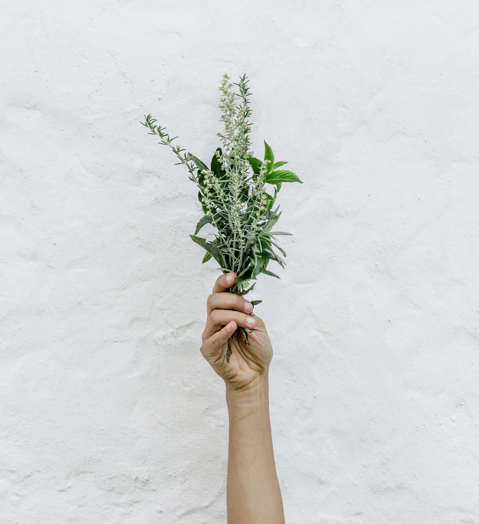 Tea Tree Oil: The Secret To Healthier Skin