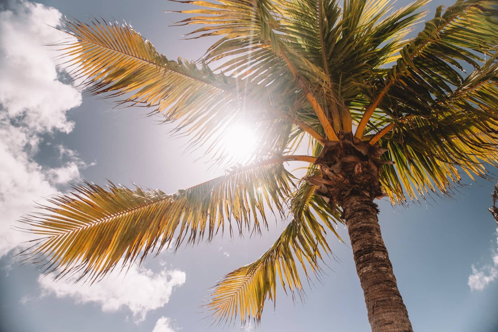 Why is SPF/Sunscreen So Important?