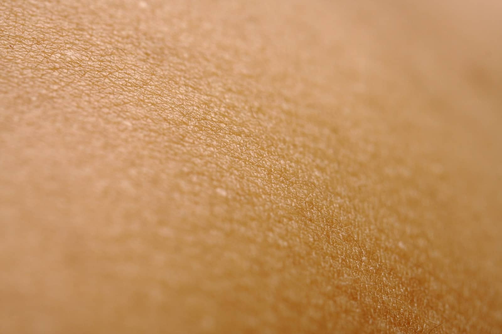 How to Repair Your Skin Barrier: Signs, Routine & Ingredients That Work